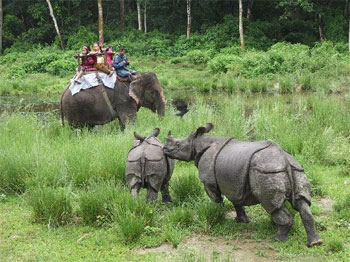 Chitwan Wildlife Heli Tour